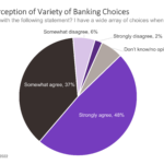 Bank Customers Are Spoiled for Choice
