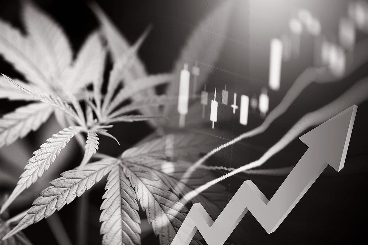 Banking battleground 2022 - Finding Opportunities cannabis