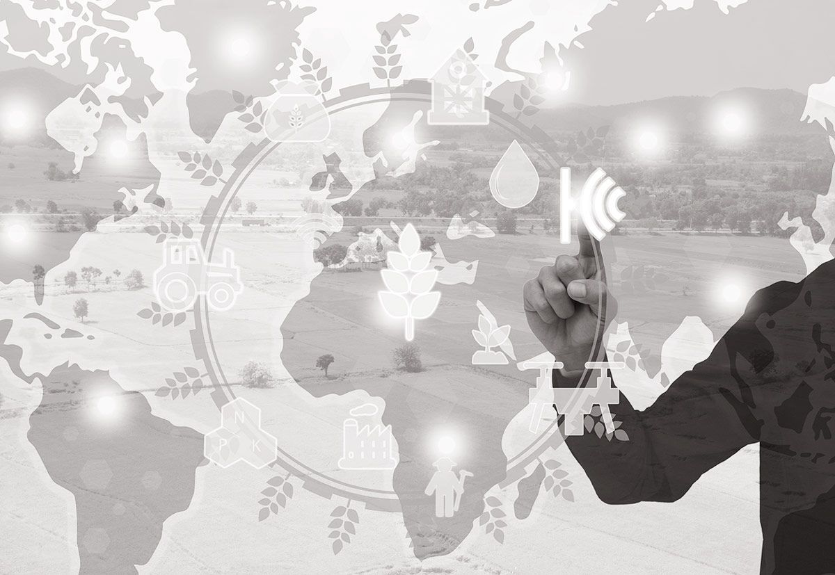 Environmental Sustainability in Banking