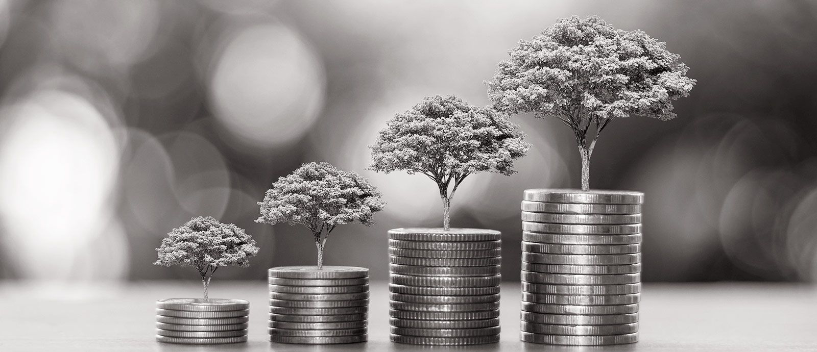 Environmental Sustainability in Banking