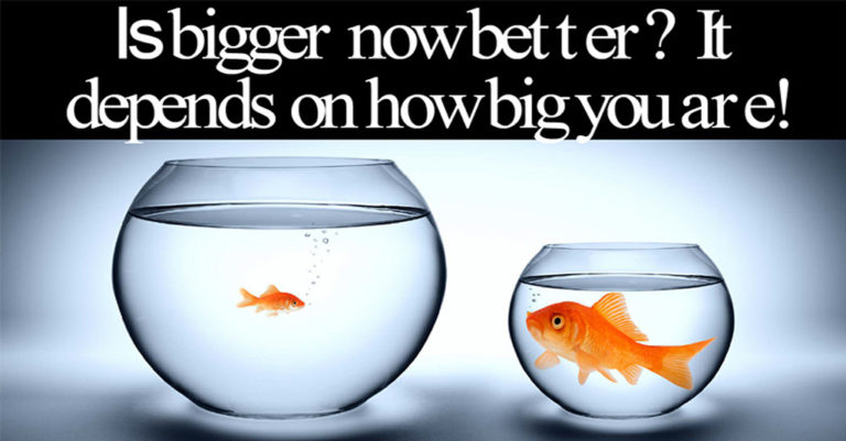 Acquire or be Acquired - Is Bigger Now Better