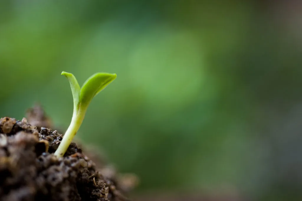 Investors Show Confidence in Challenger Banks